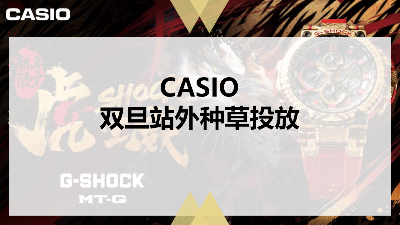 手表品牌双旦种草营销方案