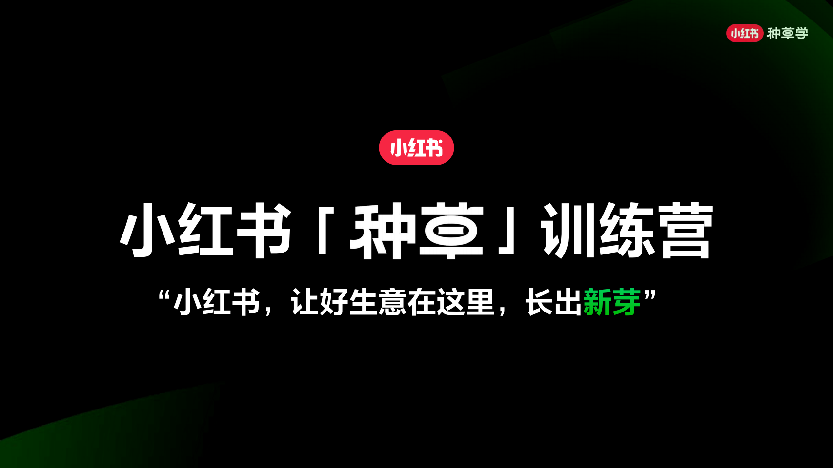 2024小红书「种草」训练营