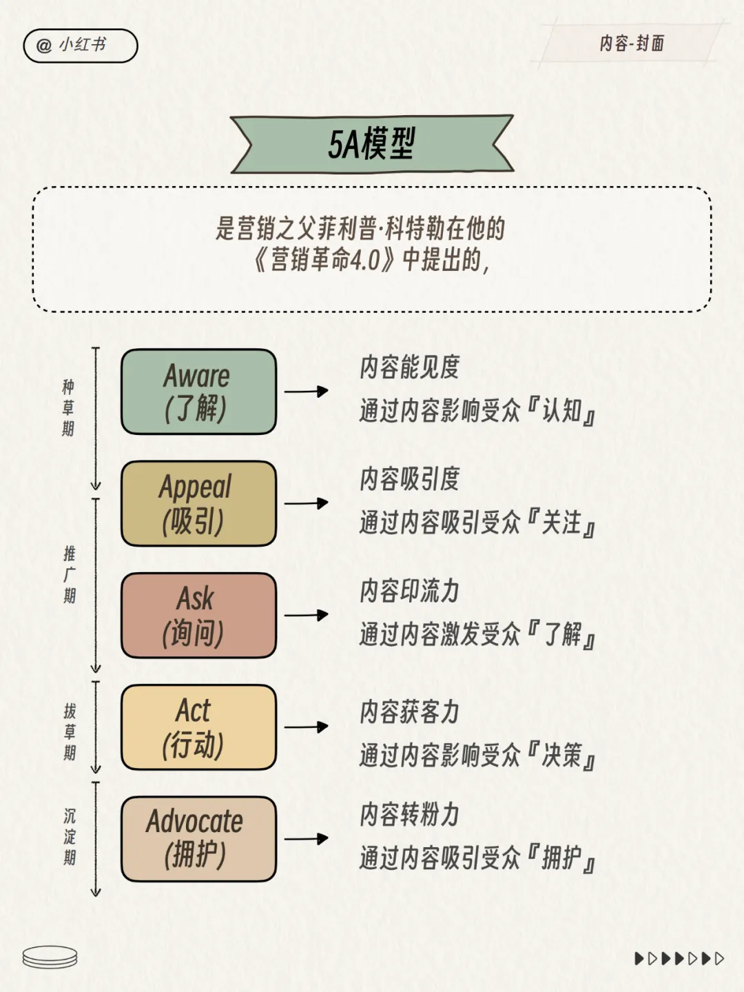 小红书运营总监模型！超多图！