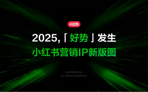 2025小红书营销IP新版图