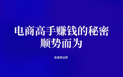 电商高手赚钱的秘密：顺势而为