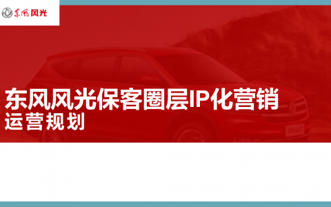 东风风光保客圈层IP化营销运营规划