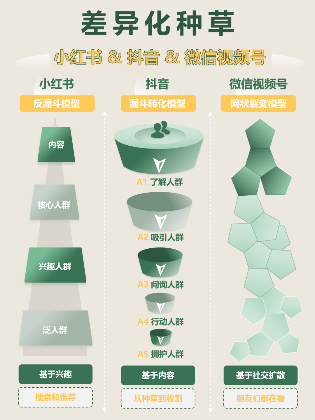自媒体平台种草模型