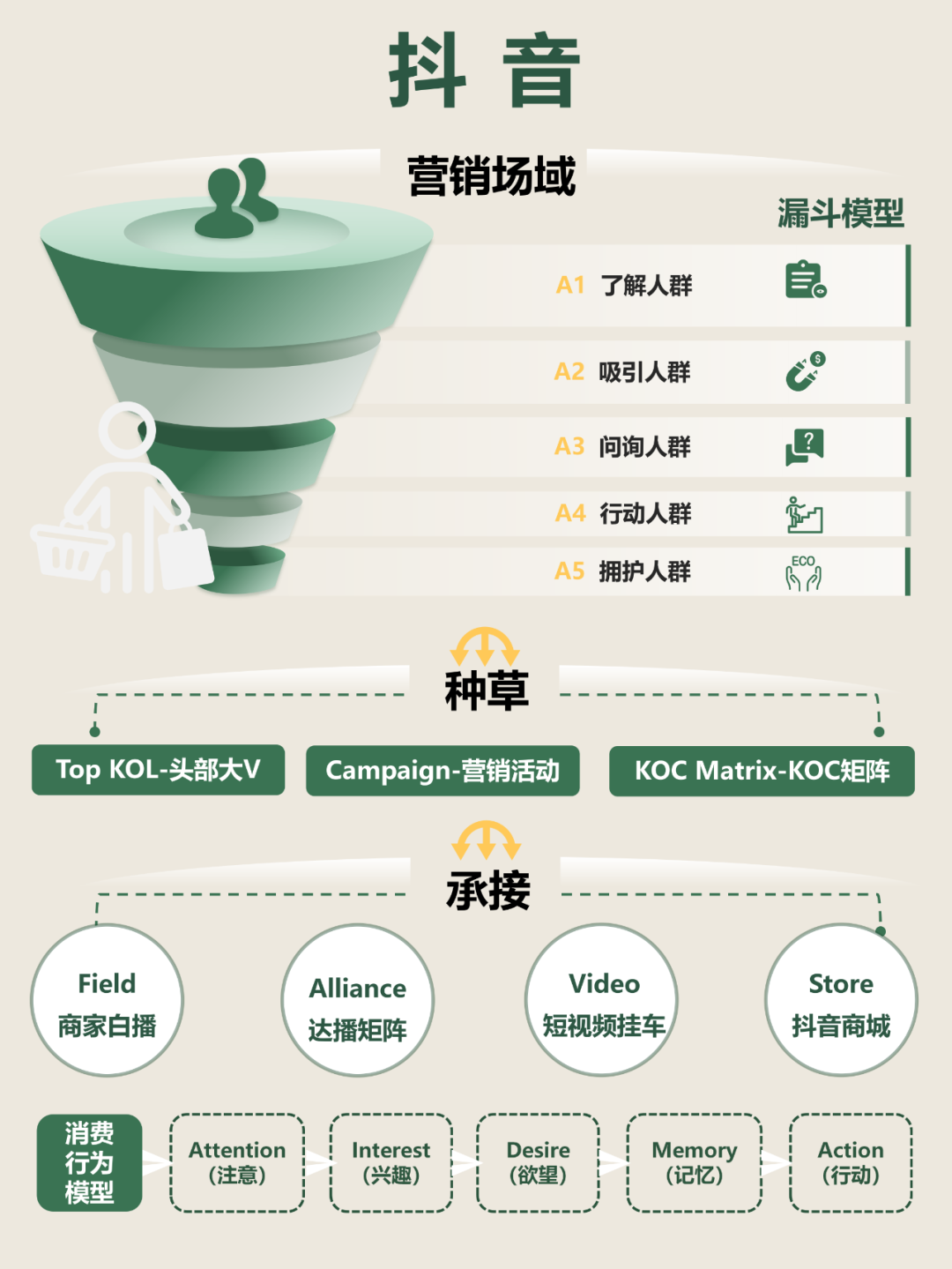 自媒体平台种草模型