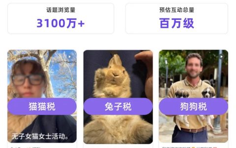 话题浏览破亿，从“猫税”看小红书2025新爆点