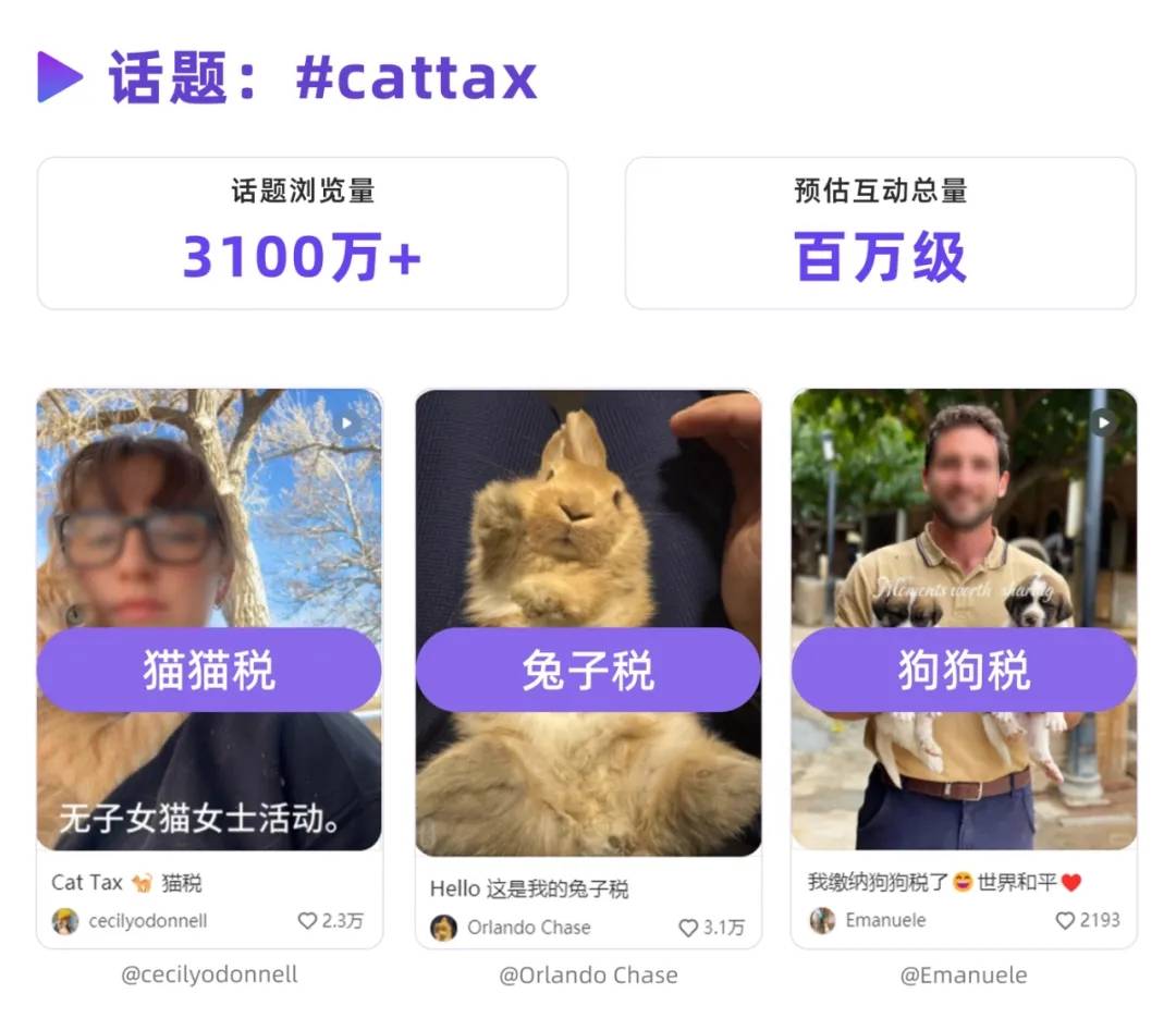 话题浏览破亿，从“猫税”看小红书2025新爆点