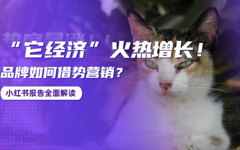 小红书报告解读：“它经济”火热增长！品牌如何借势营销？