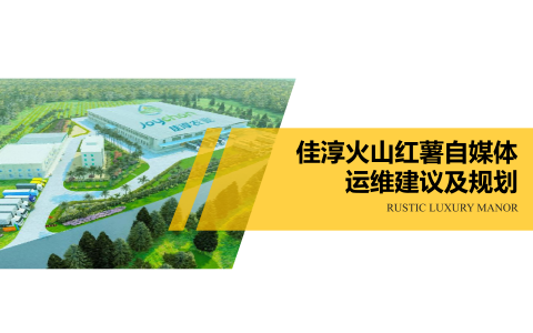 红薯品牌官号自媒规划建议【农产品】   <sup><font color=red>限时免费</font></sup>