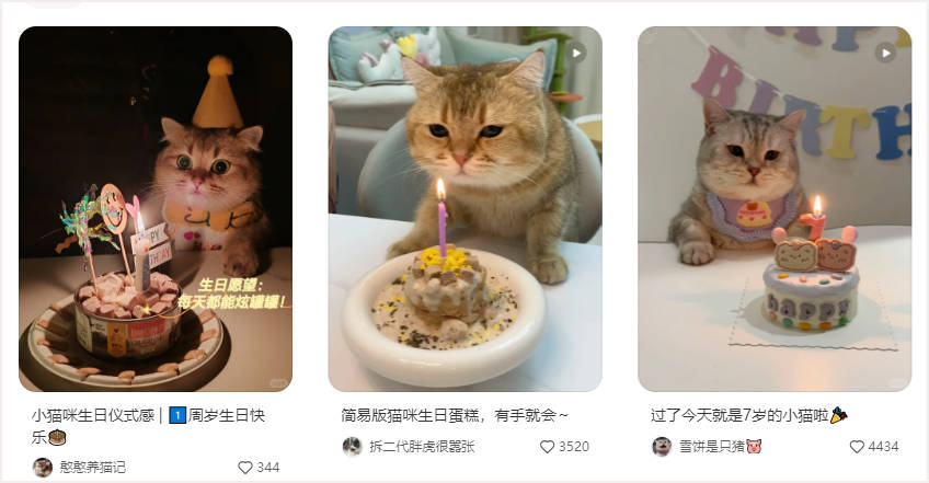 小红书报告解读：“它经济”火热增长！品牌如何借势营销？