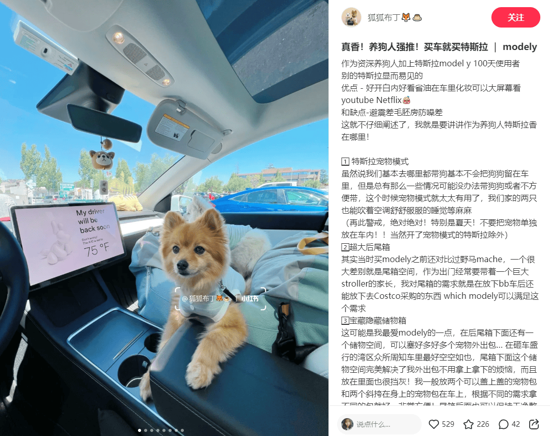 小红书报告解读：“它经济”火热增长！品牌如何借势营销？