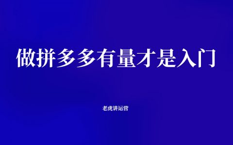 做拼多多有量才是入门
