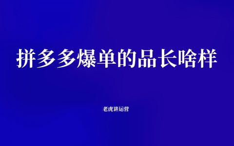 拼多多爆单的品长啥样