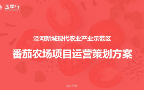 番茄农场项目运营策划方案