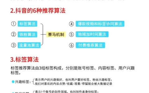 2025抖音核心算法解析！