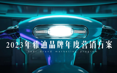 雅迪品牌年度营销方案