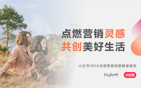 小红书IDEA灵感营销深度解读