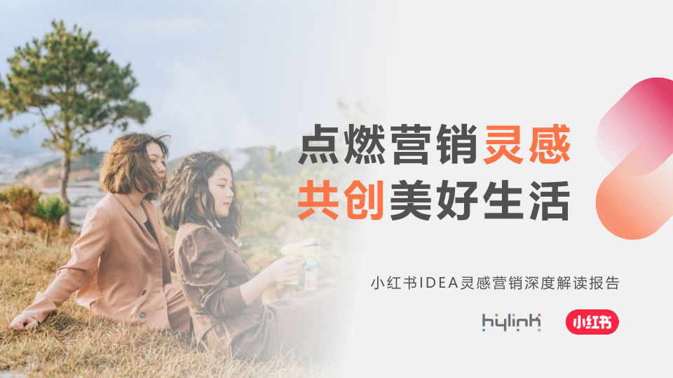 小红书IDEA灵感营销深度解读
