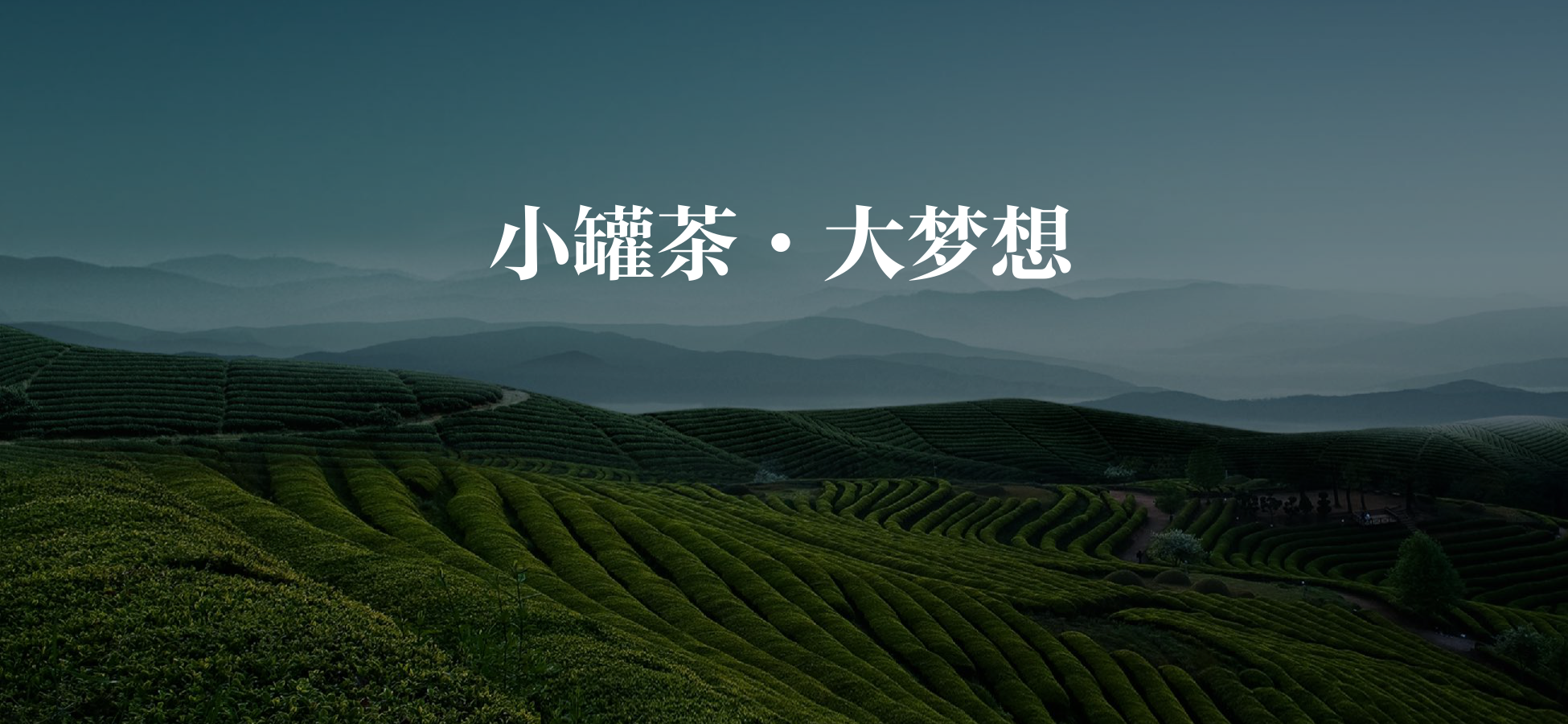 小罐茶大梦想——小罐茶品牌发展规划