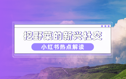 数据分析：挖野菜走红，小红书继citywalk后的又一大热势