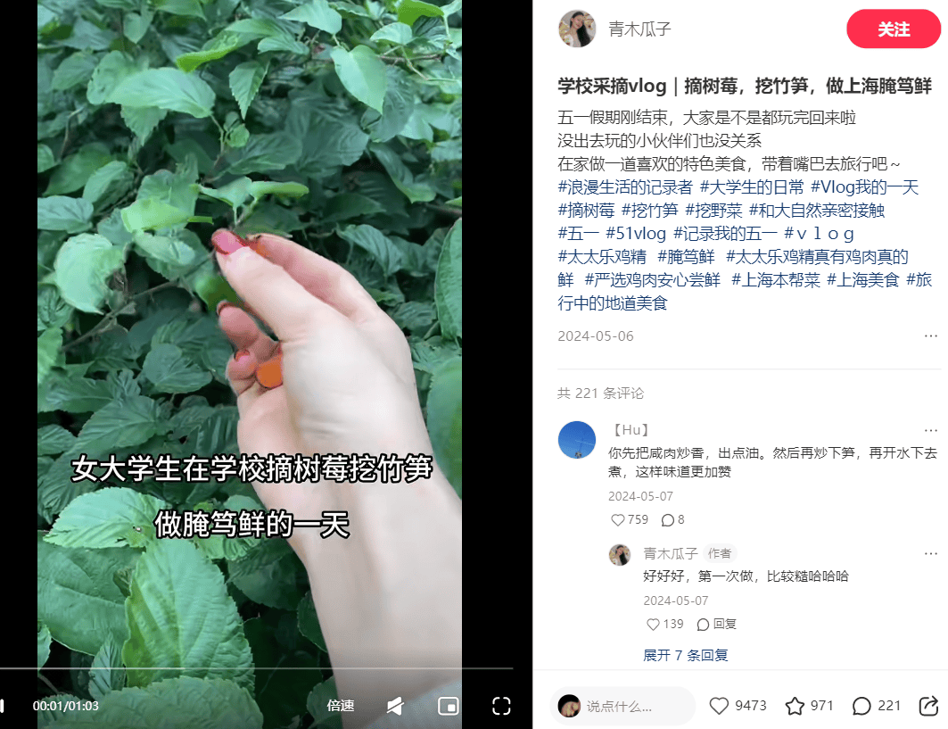 数据分析：挖野菜走红，小红书继citywalk后的又一大热势