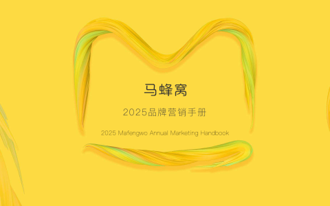2025马蜂窝品牌营销手册