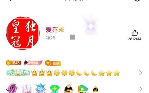 全球QQ等级排行榜！第一名即将四皇冠