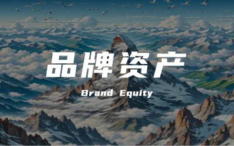 品牌资产：企业基业长青的战略引擎