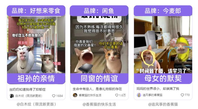 刷屏“人设之谜”，解码小红书用户的AB面