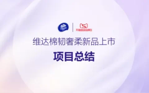 维达新品上市项目总结