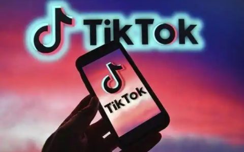 这款猫玩具在TikTok销量起飞，7天销量飙升190%
