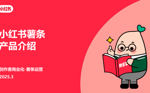 2025年小红书薯条产品介绍