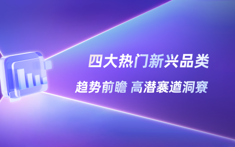 2025Q2小红书消费新图谱：四大新兴品类，引领行业增长
