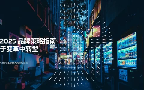 2025年品牌策略指南报告：于变革中转型