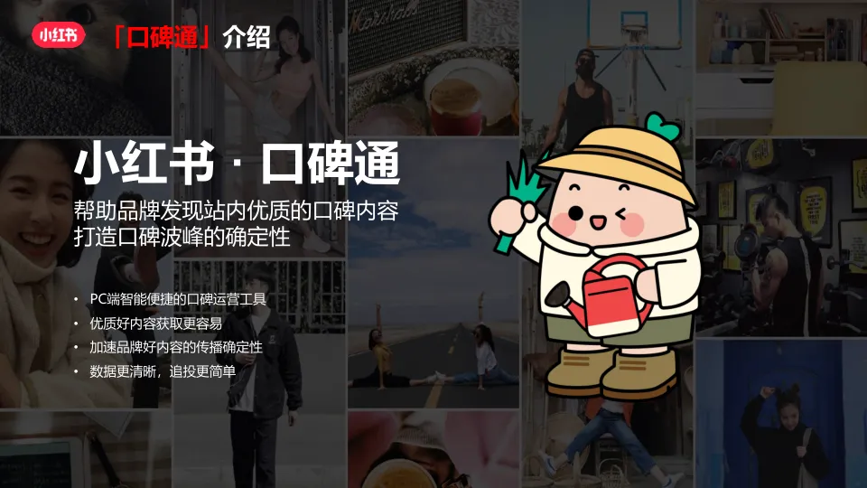 2025小红书口碑通产品介绍