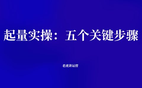 拼多多起量实操：五个关键步骤