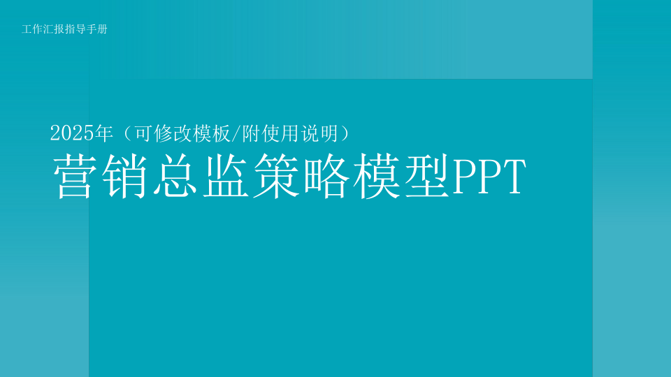 2025营销总监策略模型PPT