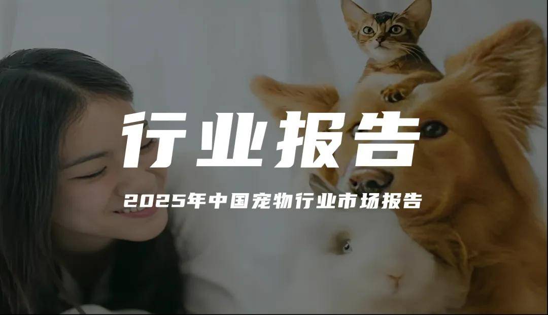 报告分享|《2025年中国宠物行业市场报告:“它经济”的消费升级与市场洞察》(附下载)