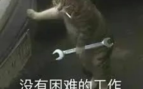 印度佬666，一份假简历领5份硅谷AI工资