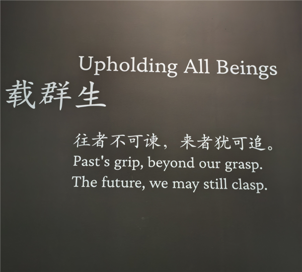 全球最大成人网站OnlyFans卖身了 原来只值这个价