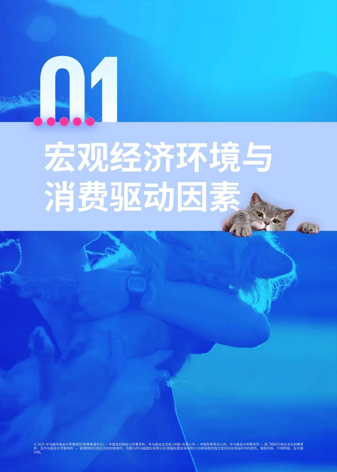 报告分享|《2025年中国宠物行业市场报告:“它经济”的消费升级与市场洞察》(附下载)