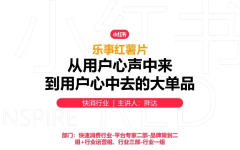 乐事×小红书：从用户心中来，到用户心中去的大单品投放