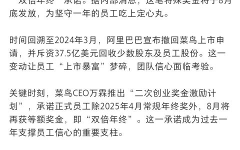 菜鸟补发全员双倍年终奖