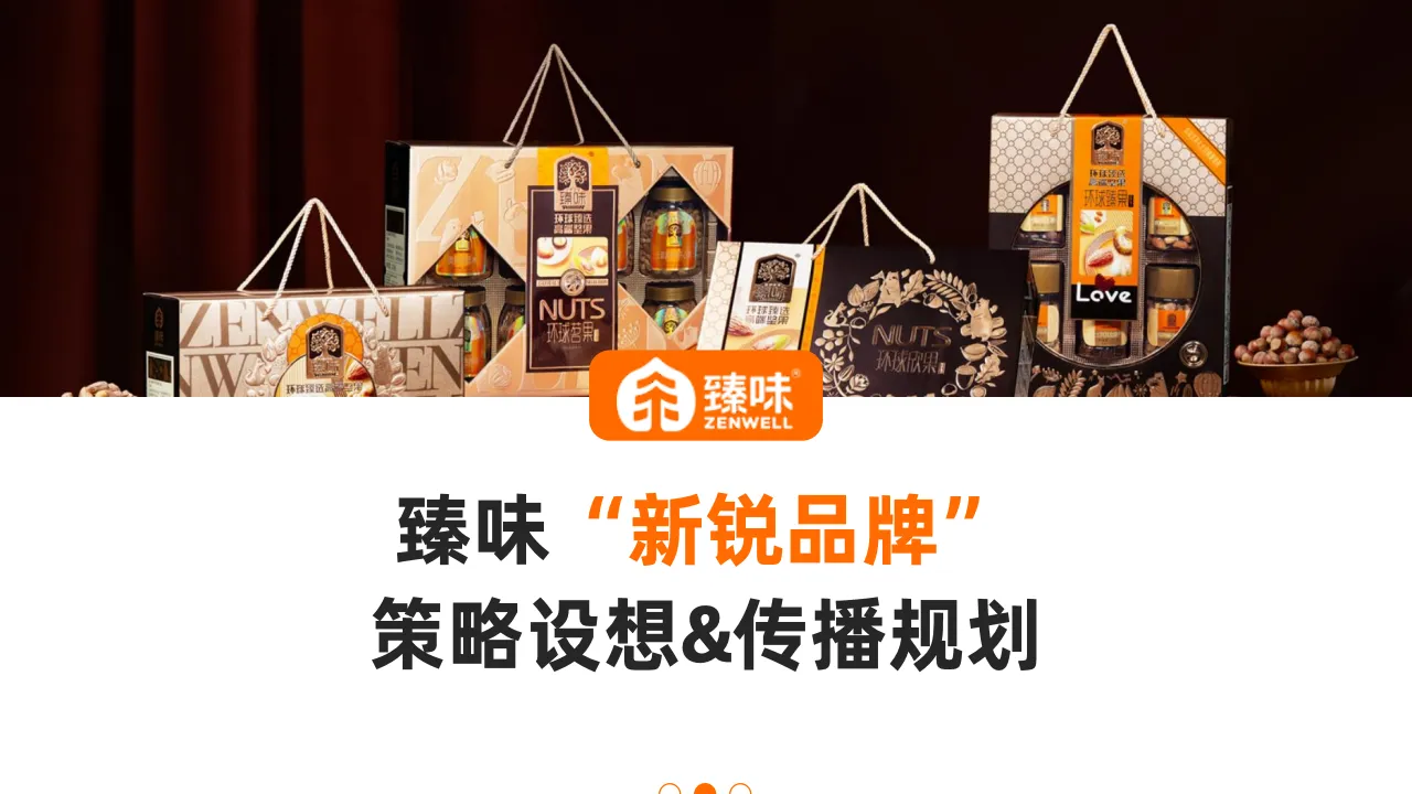 臻味坚果“新锐品牌”策略设想&传播规划
