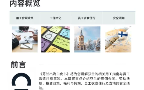 芬兰出海白皮书<sup><font color=red>免费下载</font></sup>