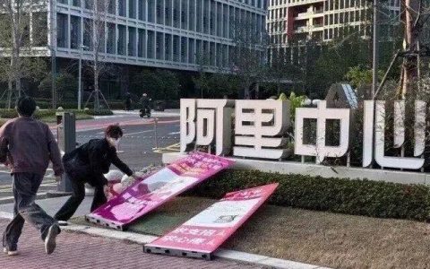 小红书双十一刷存在感,这波操作也太搞笑了!