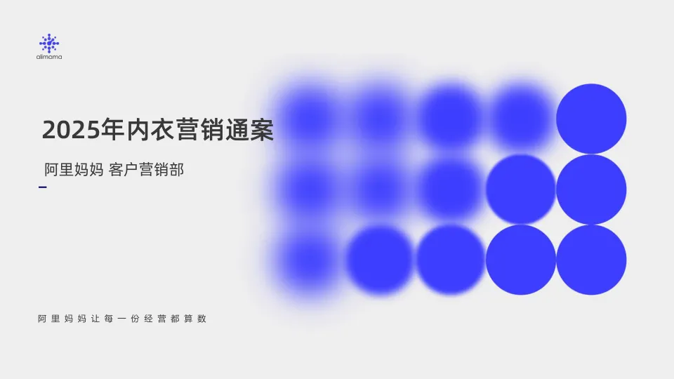 2025年内衣营销通案