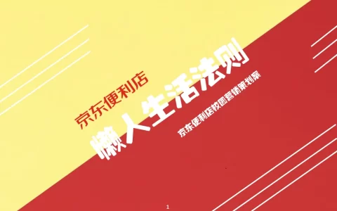 京东便利店校园（懒人生活法则主题）营销策划方案-30P<sup><font color=red>免费下载</font></sup>