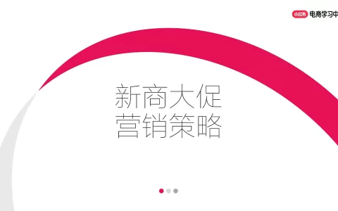 2025双11新商大促营销策略