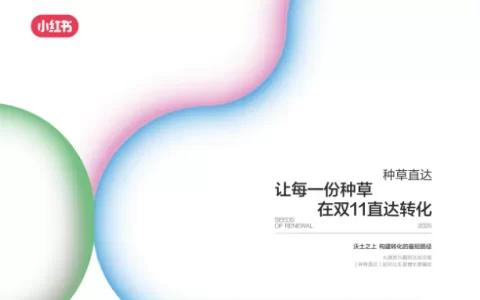 小红书双11种草直达产品手册