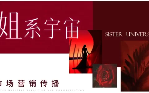 抖音行业IP内容直播综艺《姐系宇宙》市场营销传播